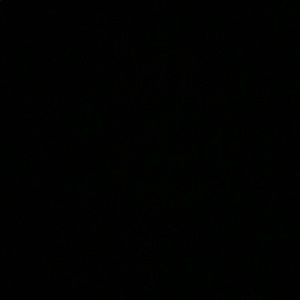 Meet your Posher, Ava